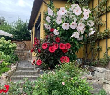 Wethau Apartamento | Partzsch Apartment