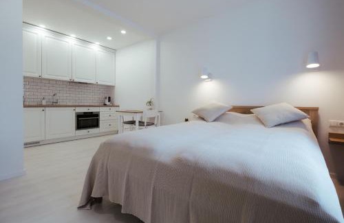 Palanga Apartamento | Pas Aldona