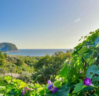 Kaluđerac Apartamento | Pataki Guesthouse