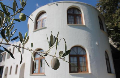Kaluđerac Apartamento | Pataki Guesthouse