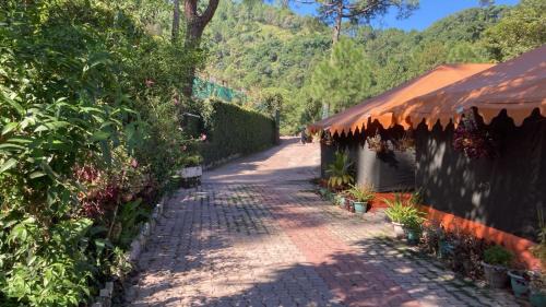 Kuthar Casa | Patial Home Stay