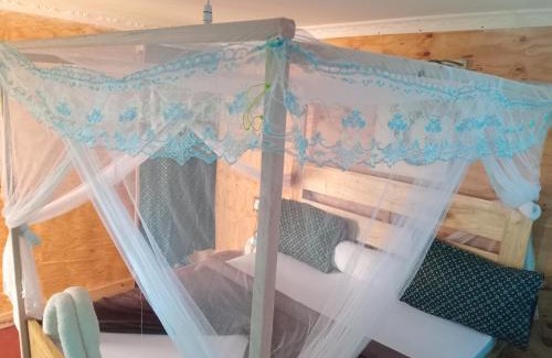 Arusha Cama Y Desayuno | Patience Airport cottages