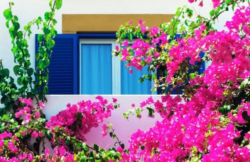 Kampos Hotel | Patmos Paradise Hotel