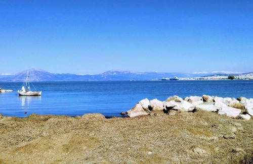 Paralia Apartamento | Patras Palm Tree, ground detached house with all the household amenities.