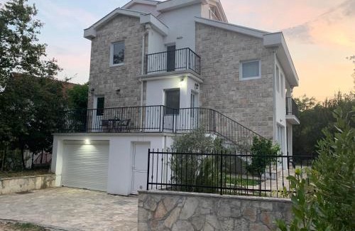 Radovici Casa | Patrick House