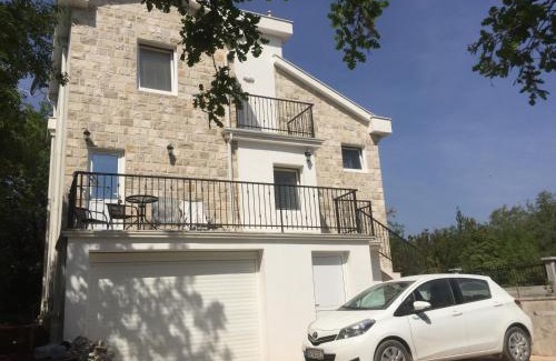 Radovici Casa | Patrick House