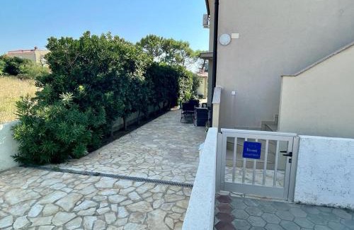 Povljana Apartamento | PATRIK