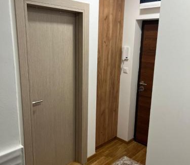 Cacak Apartamento | Paulina Apartments
