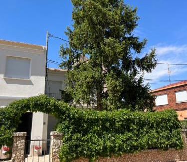 Madrigueras Apartamento | Paz Jardín-Madrigueras
