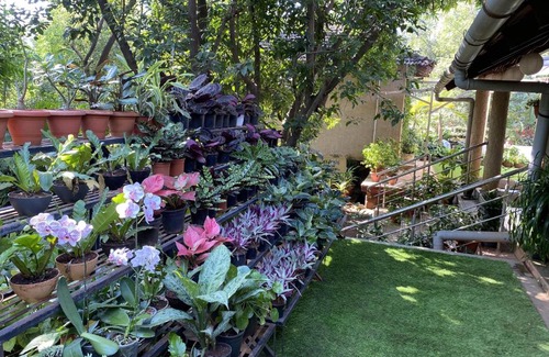 Karjat Casa | Peace Lily Cottage