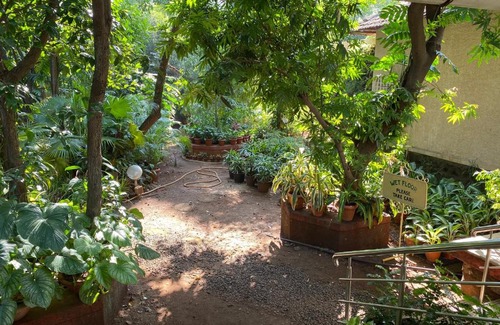 Karjat Casa | Peace Lily Cottage