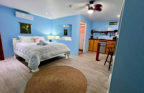Manuel Antonio Hotel | Peace of Paradise Free park tour & Free breakfast