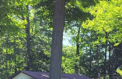 Pymatuning North Cabaña | Peaceful 2 bedroom cottage close to the lake.