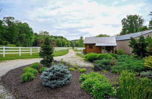 Pacific Cabina | Peaceful and cozy equestrian saturated retreat