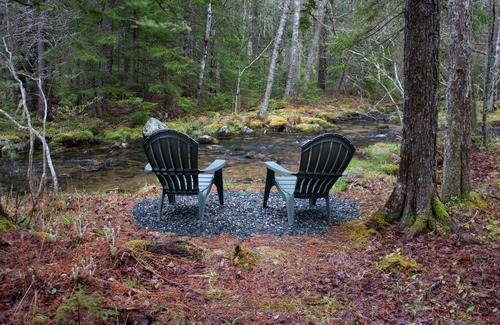 Mount Desert Apartamento | Peaceful Basement Apartment among serene woods, paths, and a stream near Acadia