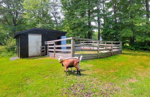 Chester Casa | Peaceful Brookside Getaway about 10 Mi to Okemo Slopes!