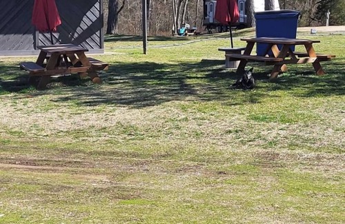 Scraper Cabina | Peaceful Cabin, fish, Illinois river, Kayak, Golfing