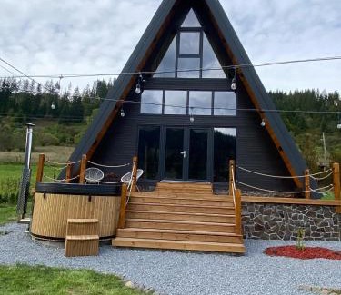 Lunca Bradului Chalet De Esquí | Peaceful Cabin