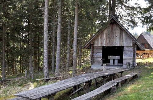 Pack Casa | Tranquila casa vacacional en las montañosas Pack Styria