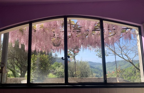 Calice Ligure Apartamento | "Peaceful Holiday Home with Garden, Sea View and Historic Roses"