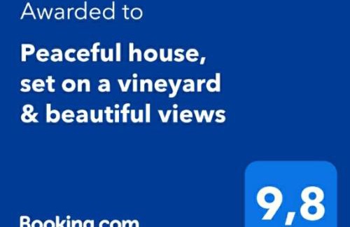 Valsequillo de Gran Canaria Casa | Peaceful house set on a vineyard & work friendly
