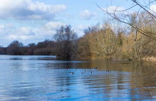 South Cerney Cabina | Peaceful Millers Lodge at The Cotswold Water Park