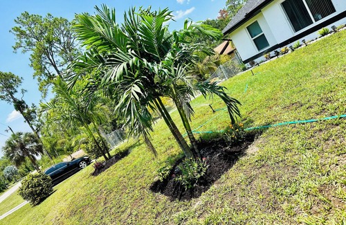 Joel Casa | Peaceful & Private! Close to Everything!