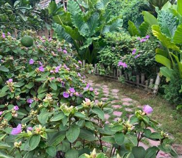 Ninh Binh Casa | Peaceful refuge homestay