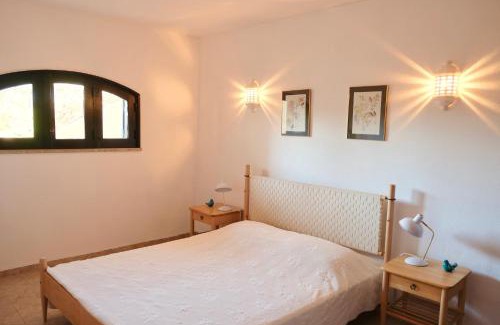 Vale de Covo Apartamento | Peaceful & Spacious Apt with Parking & Queen Bed