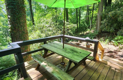 Lake Toxaway Cabina | Peaceful studio with WiFi in Lake Toxaway,North Carolina hot tub.
