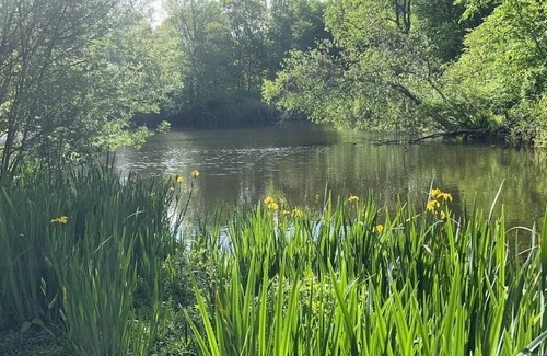 Redding Ridge Casa | Peaceful Vintage Home with Private Lake in Redding, CT.