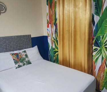 New Kingston Apartamento | Pearl of the City TROPICAL PEARL