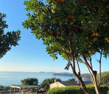 Alghero Hotel | PedrAmare Suite