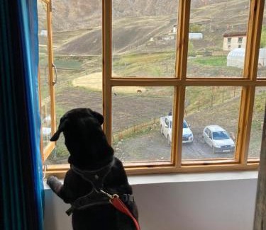 Spiti Casa | Pema's Cottage Chicham Kaza