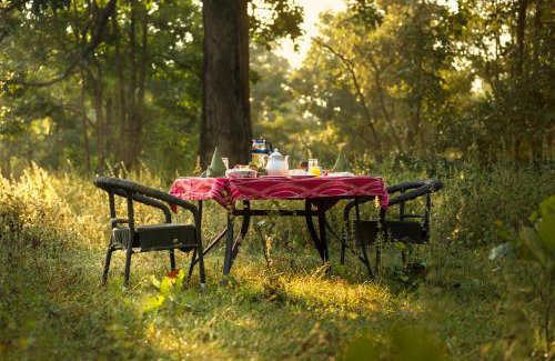 Kohka Complejo | Pench Jungle Camp