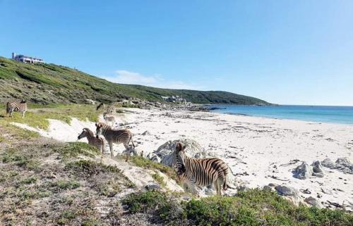 Gansbaai Casa | Peninsula Villa - Romansbaai