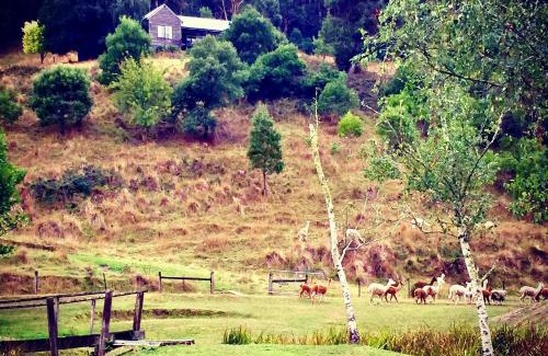 Pennyroyal Casa | Pennyroyal Otways Retreat