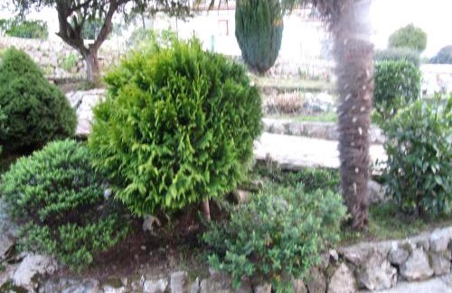 La Portilla Apartamento | Pensión Mariaje