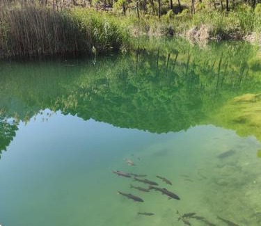 Molinicos Casa | Pensión Pradera