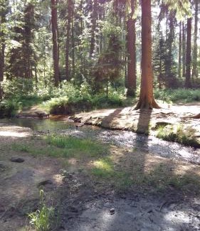Grillenburg Casa | Pension am Tharandter Wald