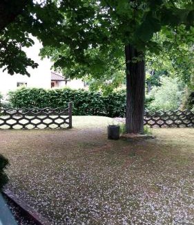 Grillenburg Casa | Pension am Tharandter Wald