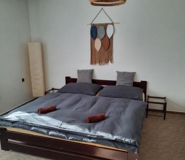 Rejdice Apartamento | Pension Aneta