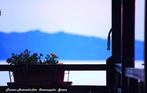 Ouranoupoli Casa | Pension Antonakis Ouranoupolis Greece