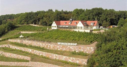 Diera-Zehren Casa | Pension Bella Vista - Winzerhof Golk