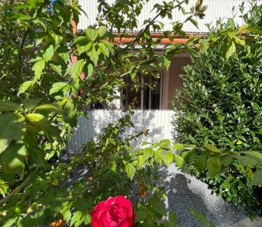 Loehne Apartamento | Pension Braun - Dein Ankerplatz