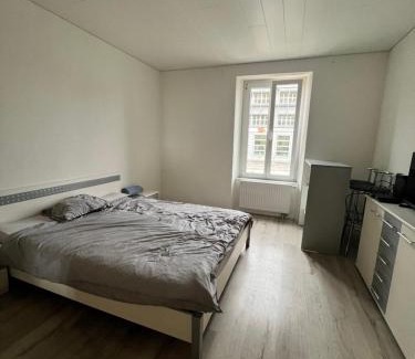 Neuchatel Apartamento | Pension des Draizes