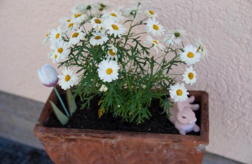 Treuchtlingen Cama Y Desayuno | Pension Eger