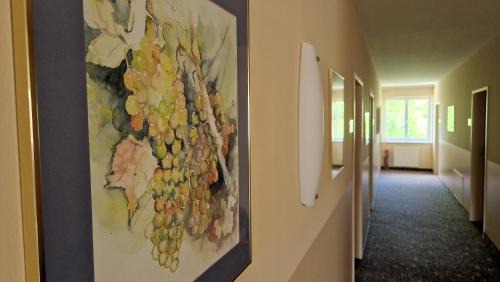 Zellerndorf Cama Y Desayuno | Pension Familie Dunkl