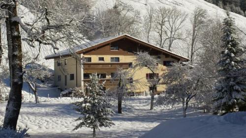Holzgau Cama Y Desayuno | Pension & Ferienwohnungen Haus Edelweiß