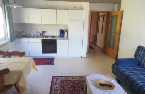 Schoenau im Schwarzwald Apartamento | Pension Goldmann - Ferienwohnung 2